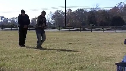 Bart Bellon: Fast return on the retrieve