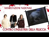 Manifestazione Nazionale contro l'industria della pelliccia - Firenze 12 dicembre 2010