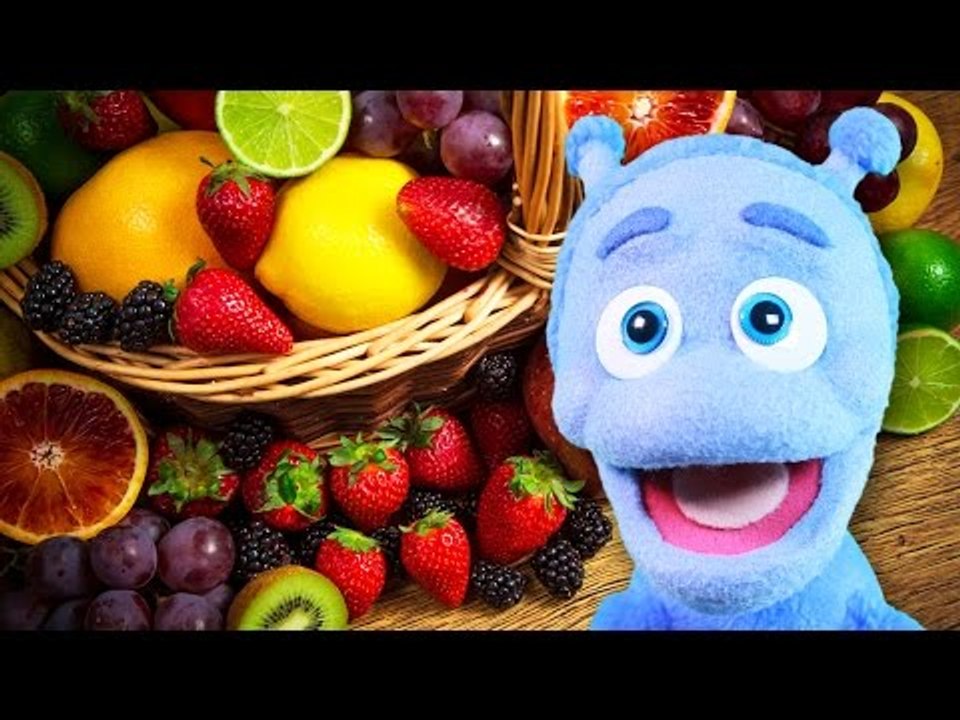 Jakie rośliny żyją na naszej planecie? - Ubu