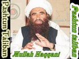 Afghanistan - Pashtoon Taliban leader Mullah Haqqani