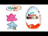 Magic Kinder - Jajka Niespodzianki - Baw się z nami