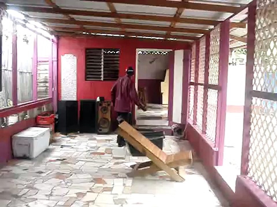 jamaican drunk gone wild
