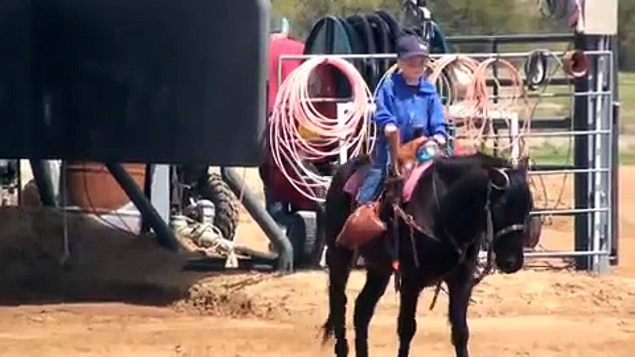 Speedroping.com Team Roping Website Info