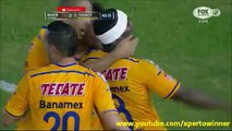 River Plate 1 - 1 Tigres Copa Libertadores 2015