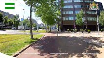 Stadtrundfahrt - Citytour - Rotterdam - Niederlande - Netherlands - Juni - June - 2014