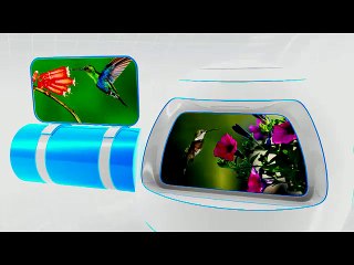 التكنولوجيا تقلد الطبيعه -  الميزات التي تثير الحيره لدى الذباب الطائر
