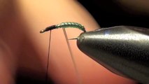 Micro Caddis Larva Fly Tying Video Instructions