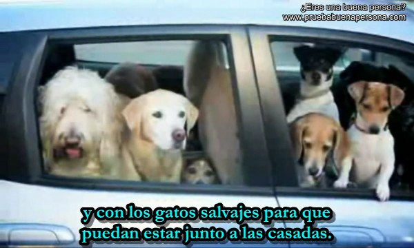 Richard Dawkins vs Ray Comfort, Richard Dawkins habla del Diseño Inteligente