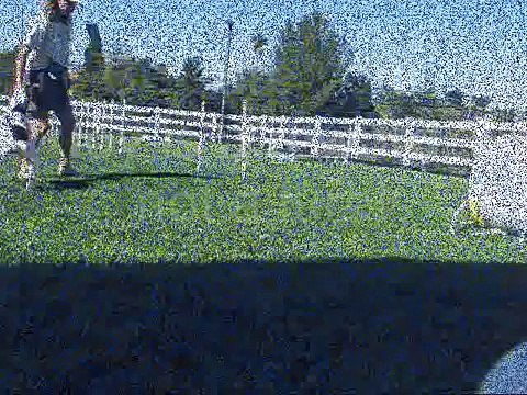 Beginning the 2 X 2 weave poles