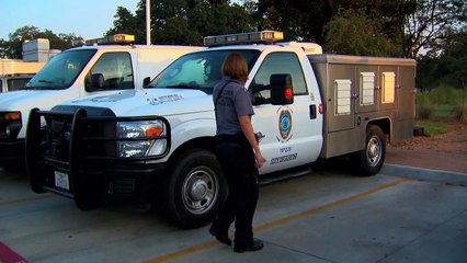 Animal Protection: Austin Anti-Tethering