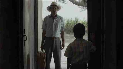 El cine latinoamericano conquista a la crítica en Cannes