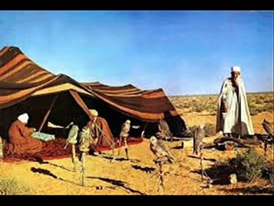 الشعر النايلي بالقصبة
