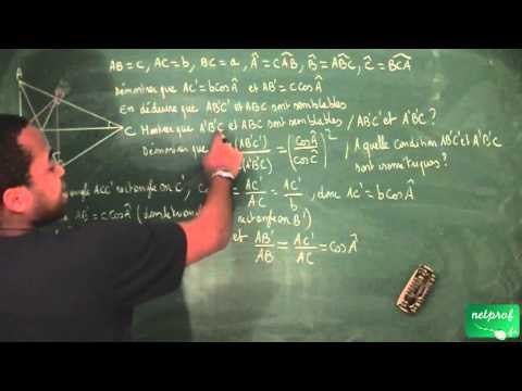 337 / Triangles isométriques et semblables / Démontrer avec les triangles semblables (6)