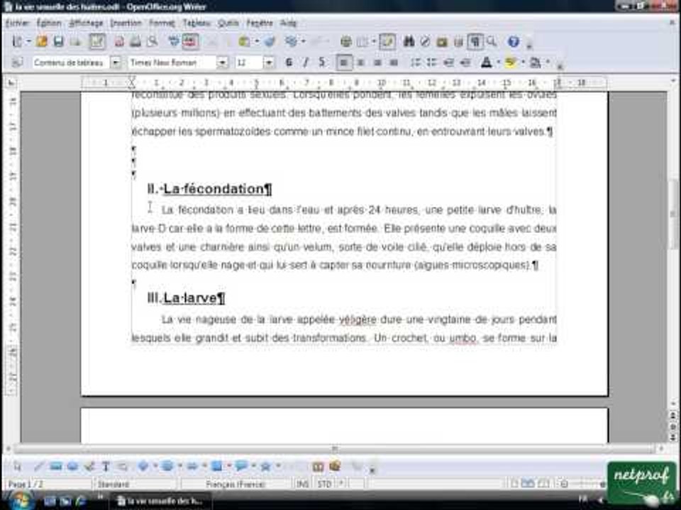 Open office ou Libre office - Texte long 6 - Insérer saut de page