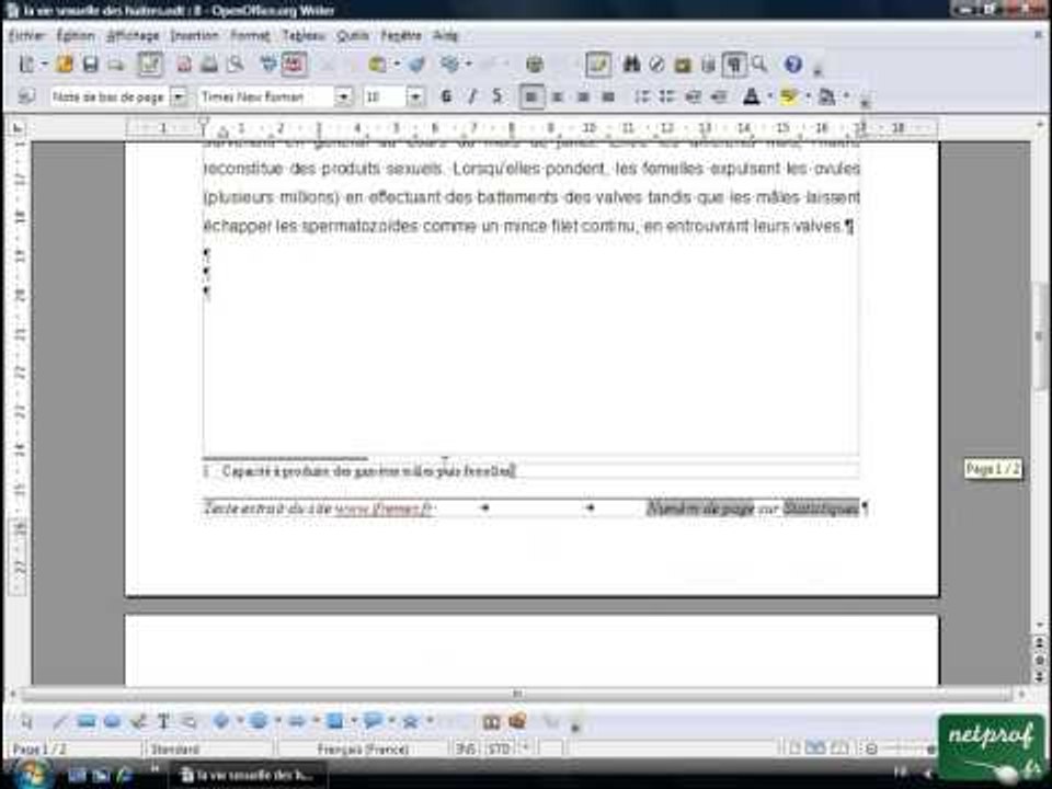 Open office ou Libre office - Texte long 8 - Note de bas de page