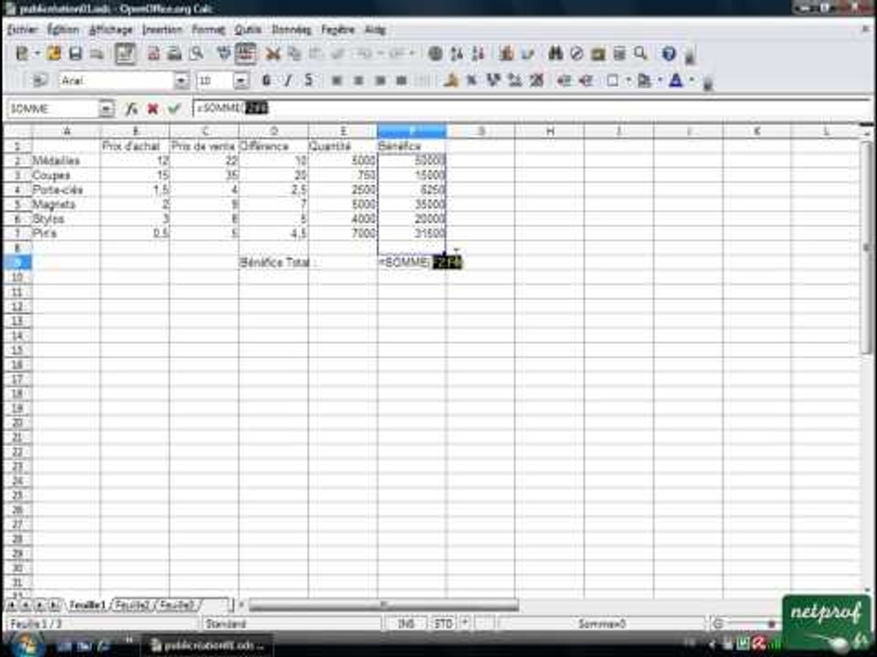 Open office ou Libre office - Tableur 07 - Somme automatique