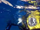 Deep ccr tartiflette team  A 167 meter rebreather dive @ the Blue Hole in Dahab.mp4