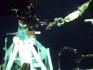 Whale appears under subsea operations