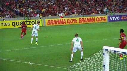 Flamengo vs Chapecoense | 2014 Brasileirão