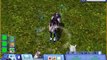 Sims 3 Pets - Horse Aging to an Elder