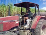 Sugar Cane planting Proserpine Queensland Australia