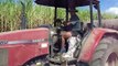 Sugar Cane planting Proserpine Queensland Australia