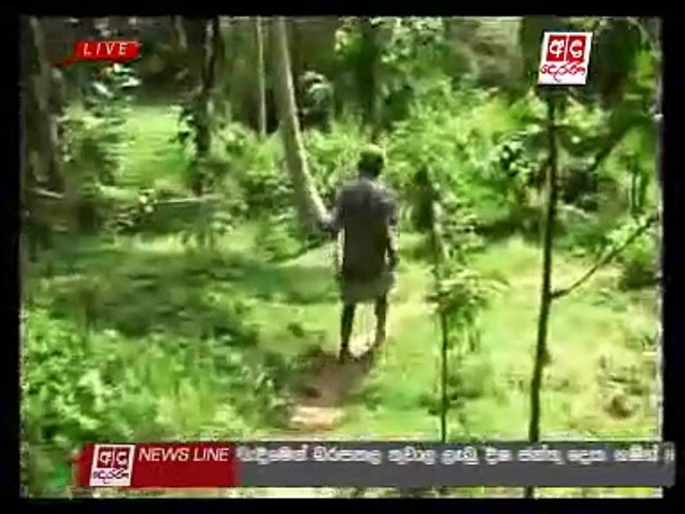 Girl electrocuted by electric fence in Matara video Dailymotion