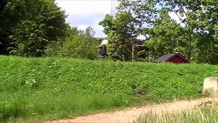 sanne salomonsen, ''den jeg elsker, elsker jeg''