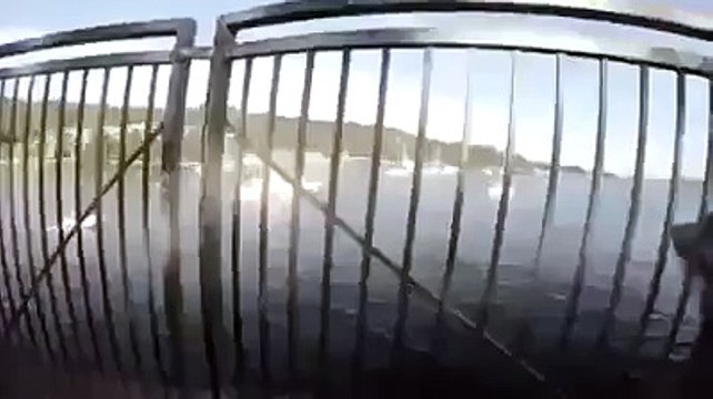 Mann springt ins Wasser mit ner Kamera und sieht einen Hai ...