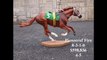 Breyer Horse Race