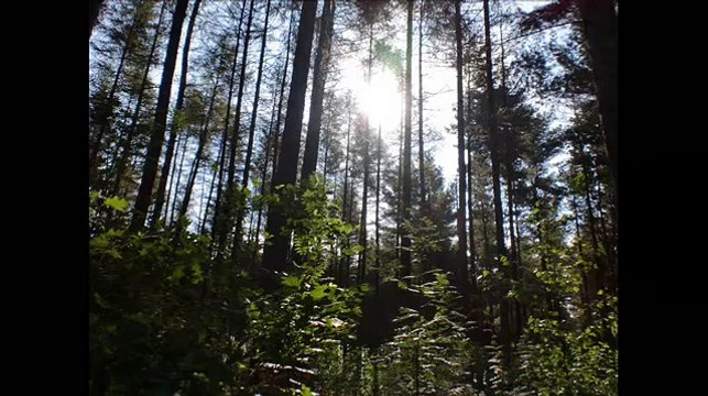 Mireille Mathieu - Après toi