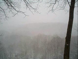 Bauhaus-Hollow Hills