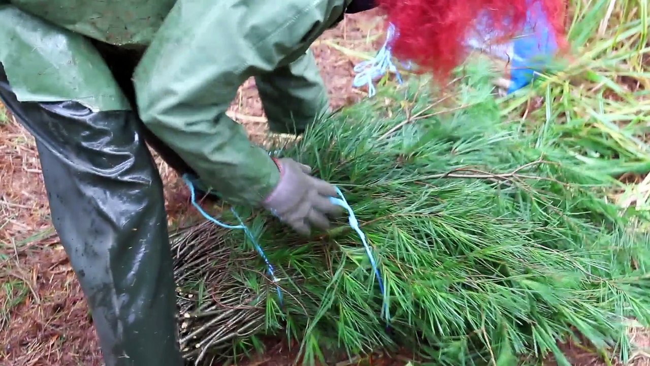 Vivre dans les bois : la feuillagiste de Treffort / court-métrage documentaire
