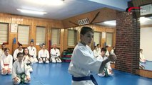 KARATE SHOTOKAN EN ARTES MARCIALES TELEVISIÓN