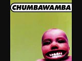 Chumbawamba   Homophobia