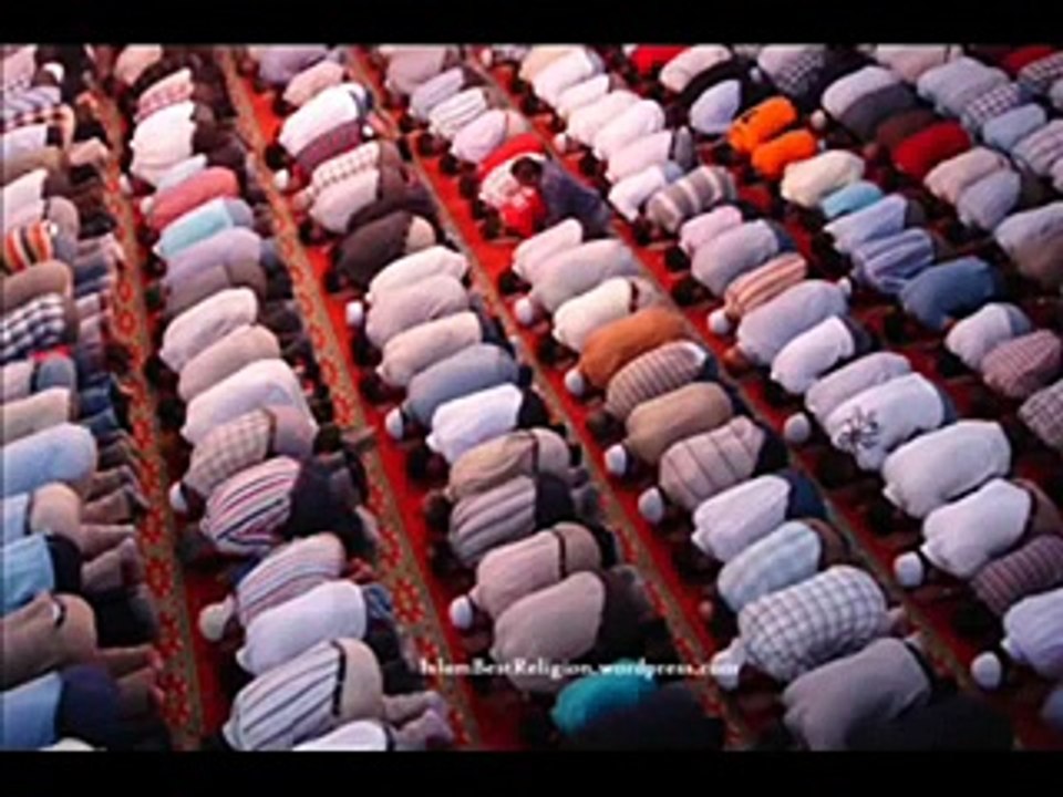 Tariq Jameel Best Ever bayan , Must watch