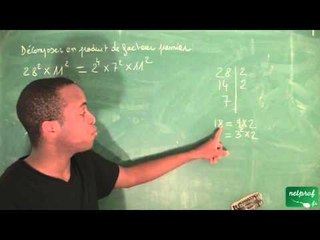 020 / Nombres, ordre dans R / Décomposition en produit de facteur premier (2)