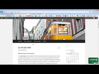 Page d'accueil statique wordpress_6