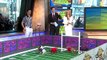 Puppy Bowl 2013 : Super Bowl 2013 Inspires Puppy Bowl: Sneak Peek at Doggie Football Event Very Cute