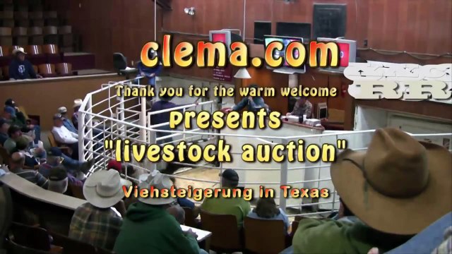 Welcome To Superior Livestock Auction - With Cattle Auction Agricultural Technology/Agricultural Tve