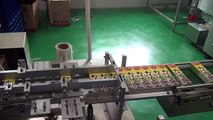 Automatic  box packing and sealing video