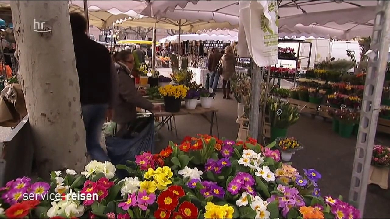 Reisereportage - Cote d Azur im Fruehling