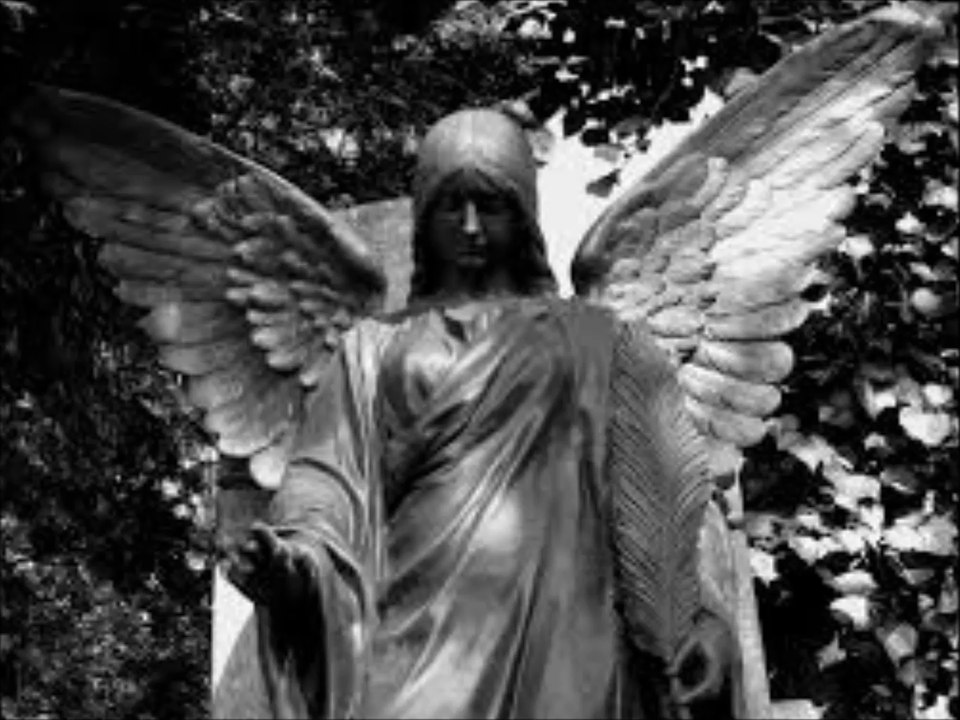 Persephone-Spirit (DCD COVER)