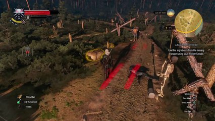 The Witcher 3 Wild Hunt: Simple Combat