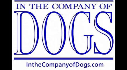 D14480 Retractable Rotating Tangle Free Dog Tie Out