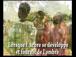 Baaba Maal - Lekki (L'arbre; The Tree)