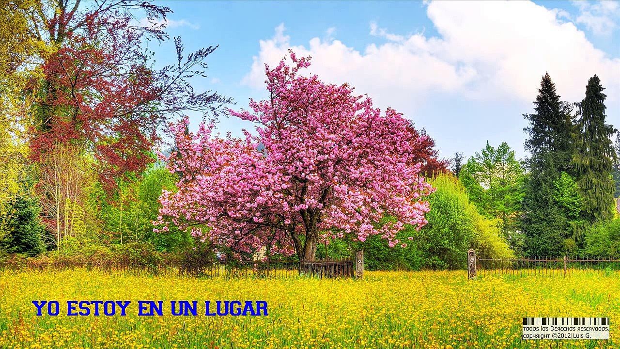 Tercer Cielo - Yo Te Extrañare [Con Letra] [HD]