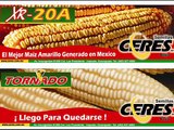 Semillas Ceres Maiz Tornado y otros