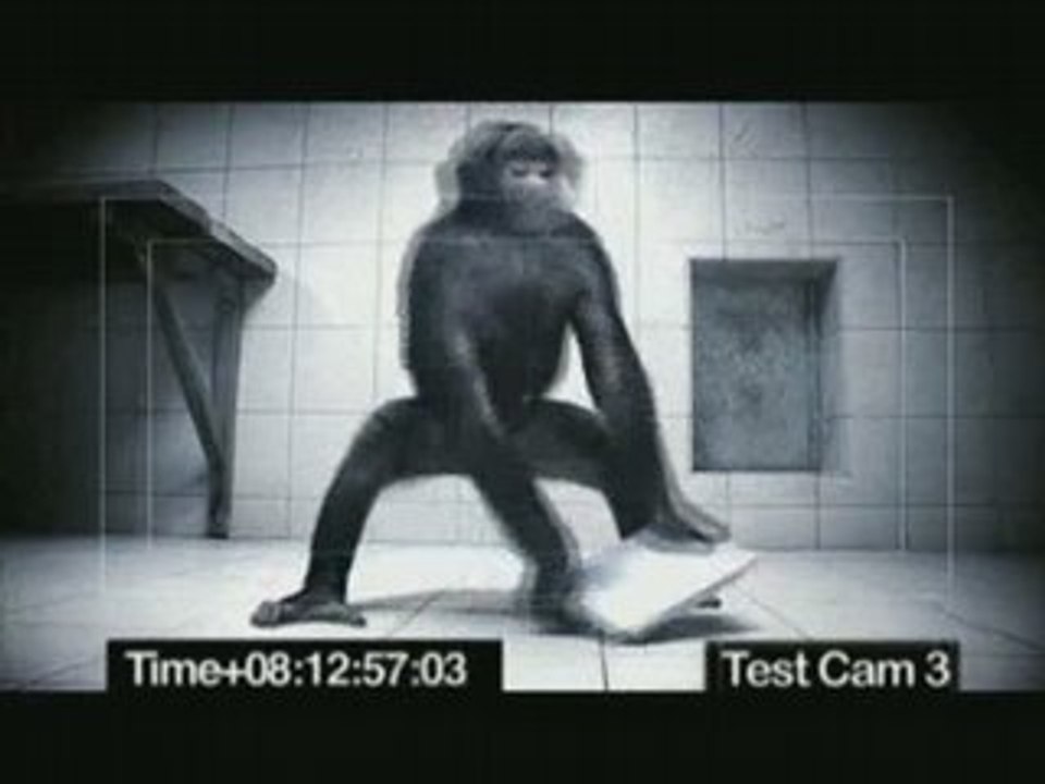 Monkey__proof