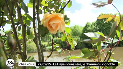 Le 18h chez vous à la Haye Fouassière